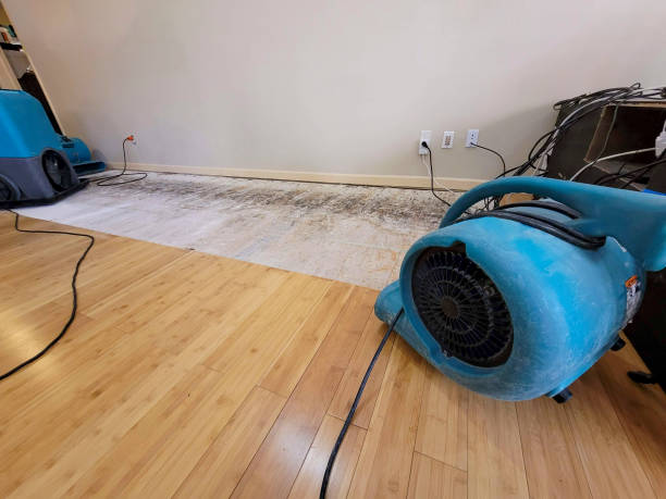 Professional Emergency Water Damage technician working in Spring Valley, WI